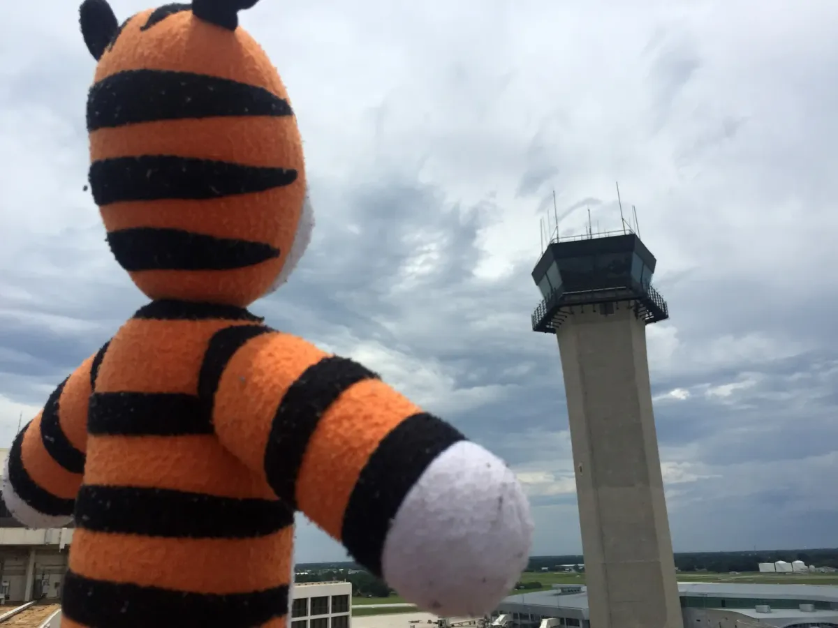 How a Stuffed Tiger Taught a Marketing Lesson
